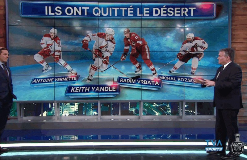 Les lourdes pertes des Coyotes cette saison