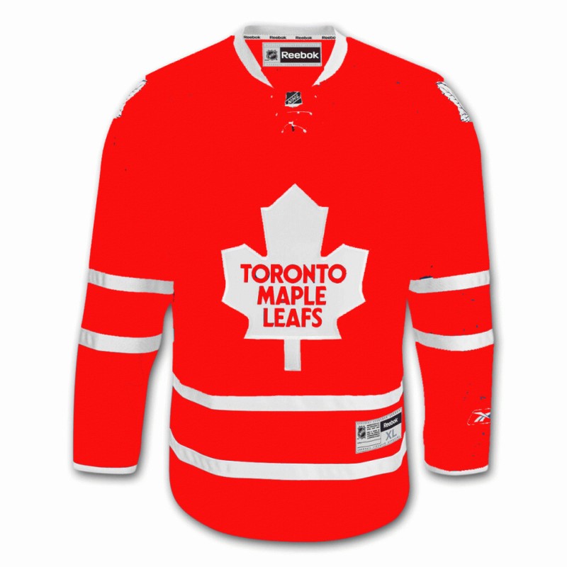 Un fan des Leafs a trouvé le remède aux déboires de son équipe