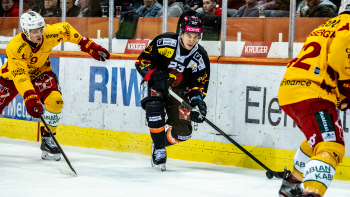 Une longue absence pour Marco Lehmann