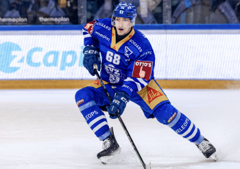 Fabrice Herzog out für mehrere Wochen