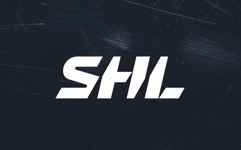 Top 50 des meilleurs joueurs du championnat suédois