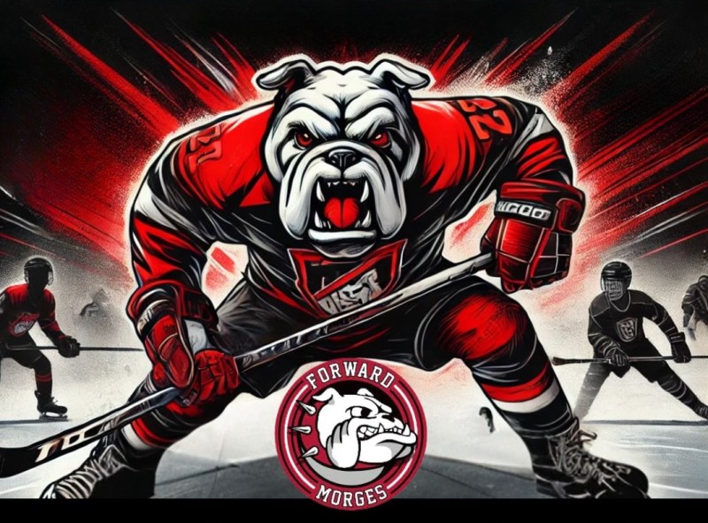 Try-out au HC Forward-Morges