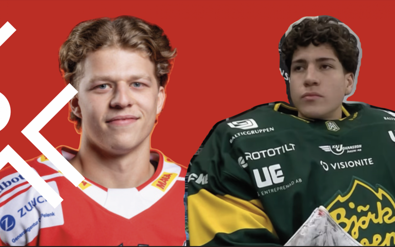 Deux arrivées pour le HC Viège