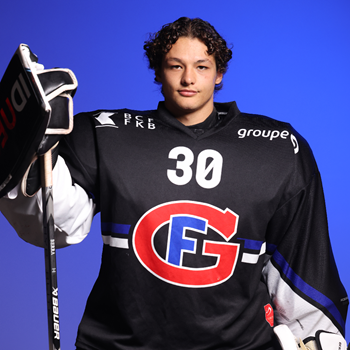 Une pige en  MyHockey League pour le Fribougeois Ludovic Hauser