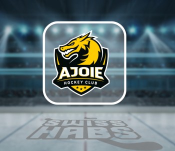 Julien Vauclair : "On aura encore besoin de quatre gardiens sous contrat la saison prochaine"