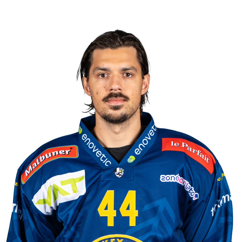 Plusieurs clubs tchèques souhaitent le retour de Matěj Stránský