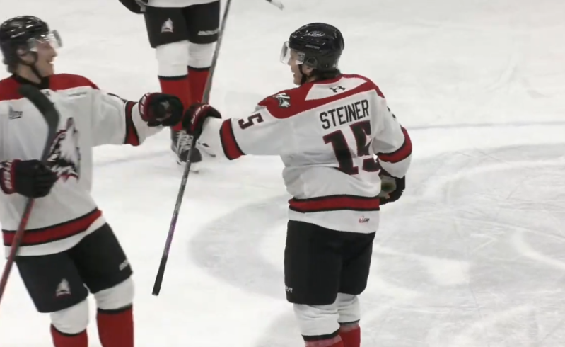 Lars Steiner ramène les Huskies dans le droit chemin