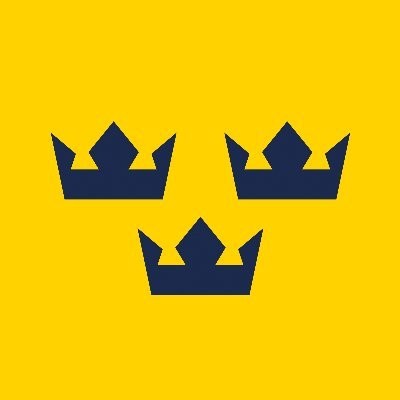 Deux nouveaux joueurs appelés en équipe de Suède pour les JO