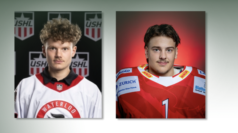 Un nouveau duo de gardiens pour Olten