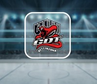 GDT Bellinzona Snakes